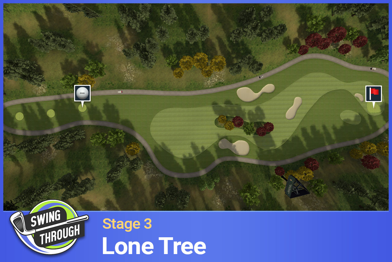 Lone_Tree_S3.jpg